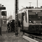 Arnz_150214_011.jpg