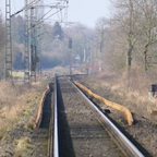 2015_02_Boisheim_L1000494.jpg