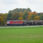 2015_10_Boisheim_L1020256.jpg