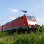 2016_08_Boisheim_L1020820.JPG