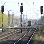 2016_10_Viersen_L1030067.JPG